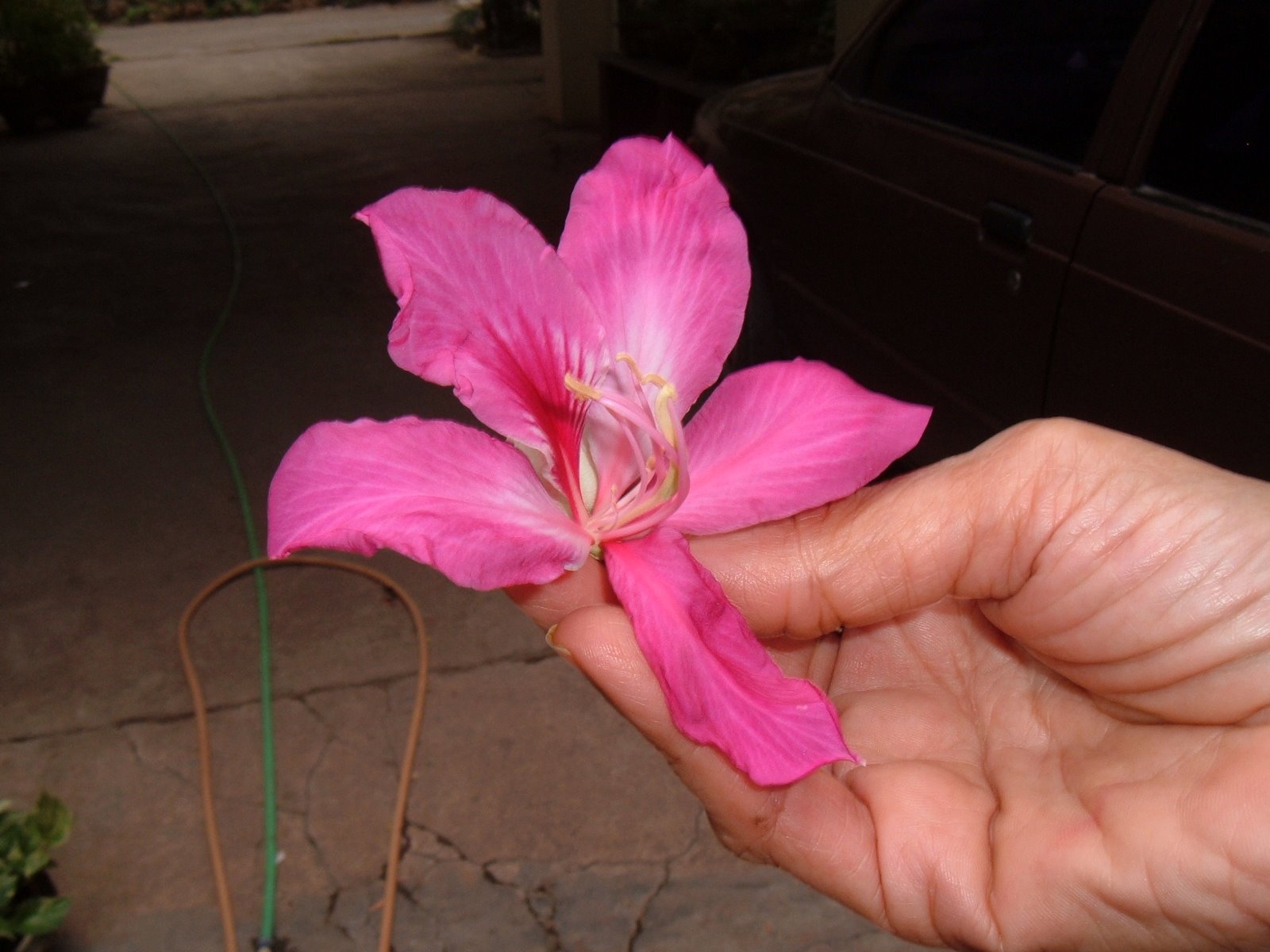 [DSCF3543.JPG]