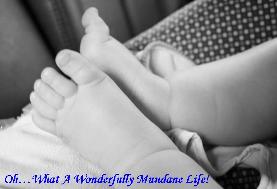 Oh...What a Wonderfully Mundane Life!