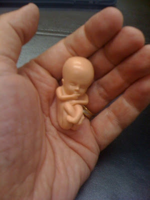 O feto é um ser humano ? Feto+--+boneco
