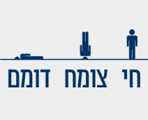 חי צומח דומם - פוטובלוג מאאאלף ועד תו