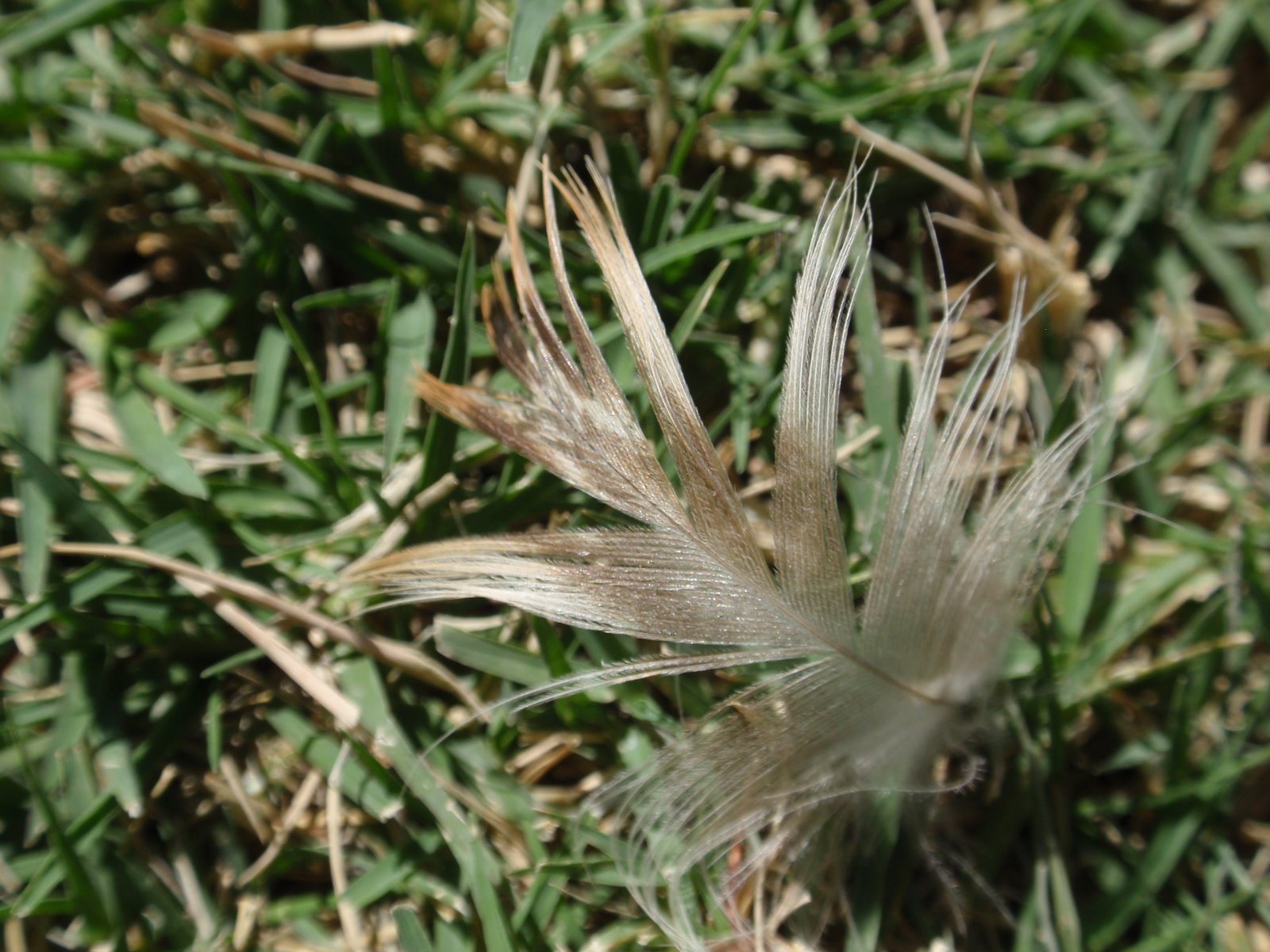 [PA240136.JPG]