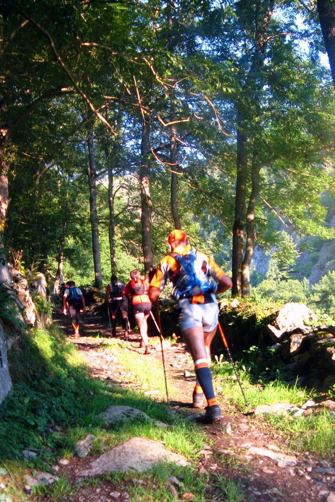 [IMG_08961_redimensionner.JPG]