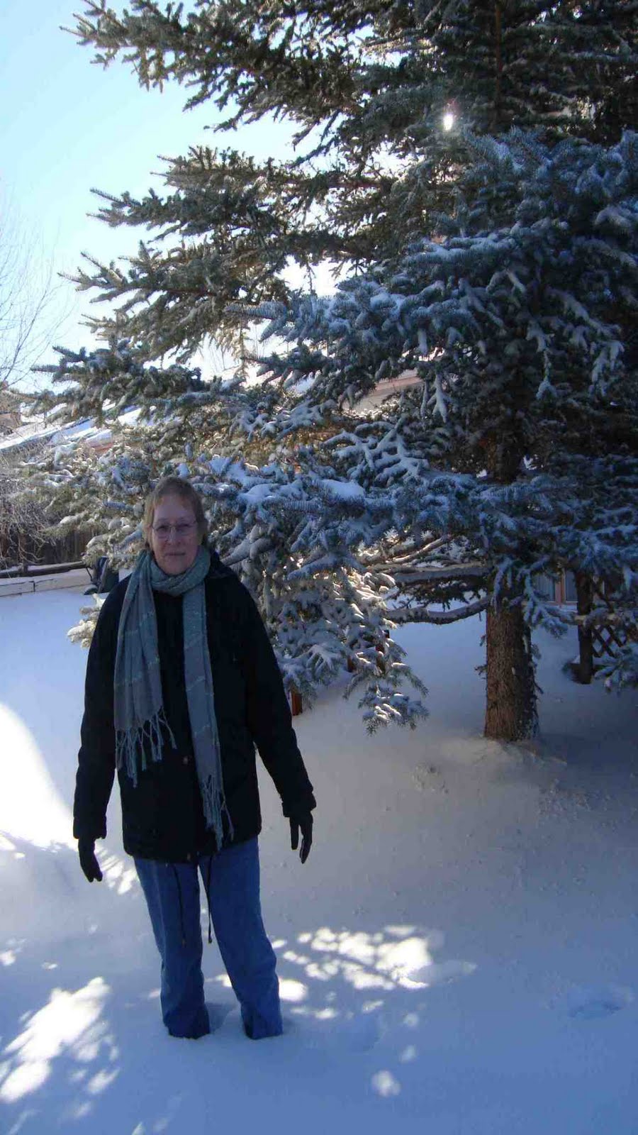 [Peggy+in+snow+backyard.jpg]