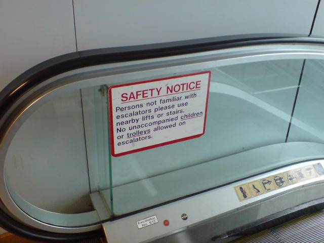 [DSC00100.JPG]
