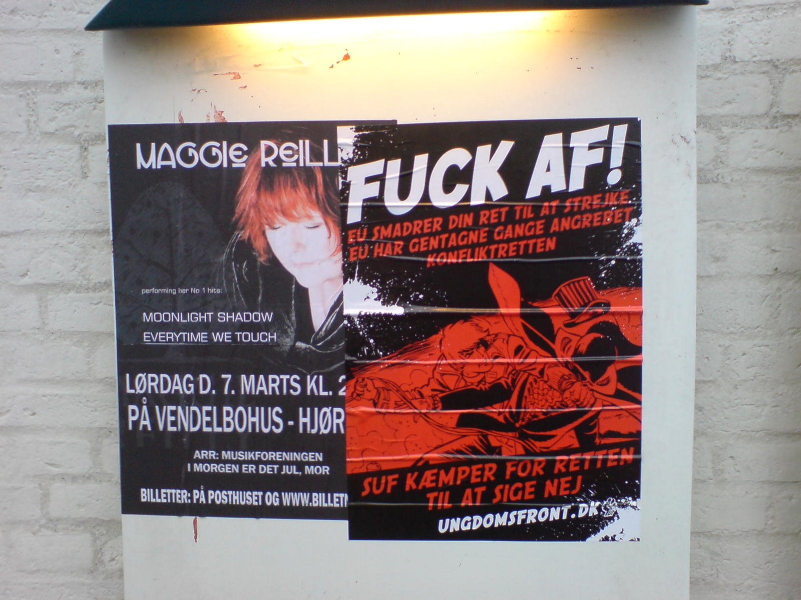 [DSC00273.JPG]