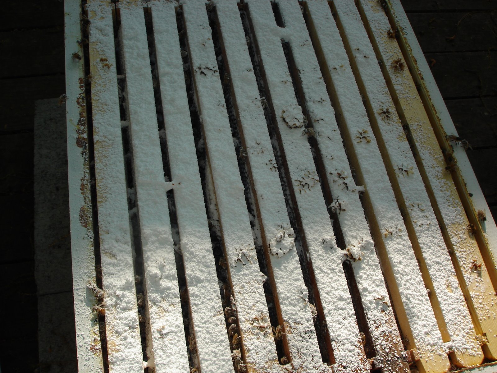 [DSC03041.JPG]