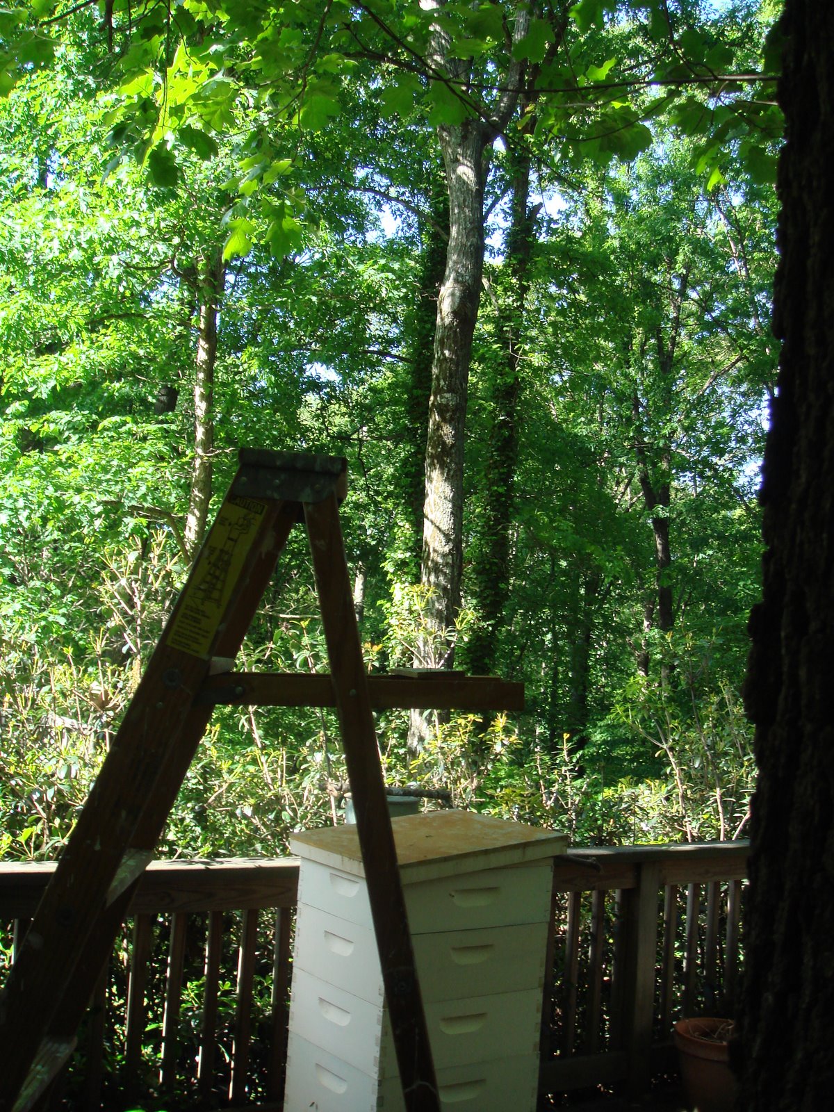 [DSC00183.JPG]