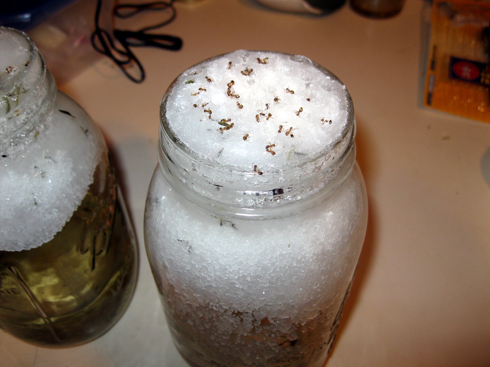 Crystallised Sugar