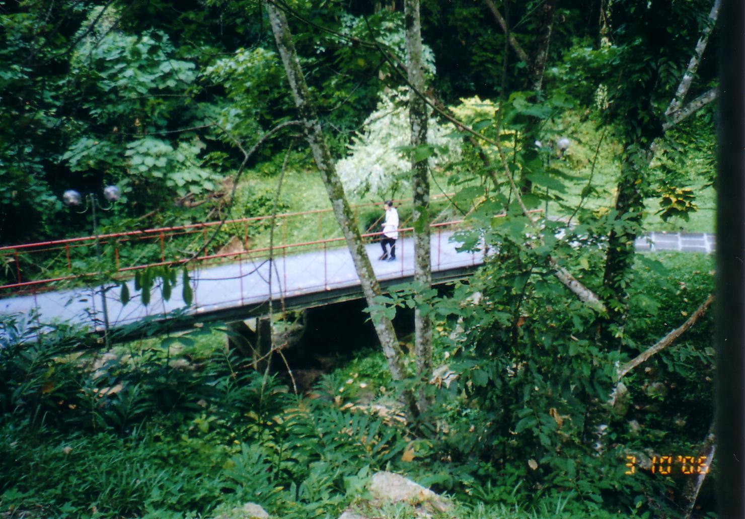 [Scan10011.JPG]