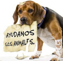 SOS Animales