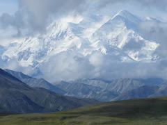Mount McKinley in Camp Denali