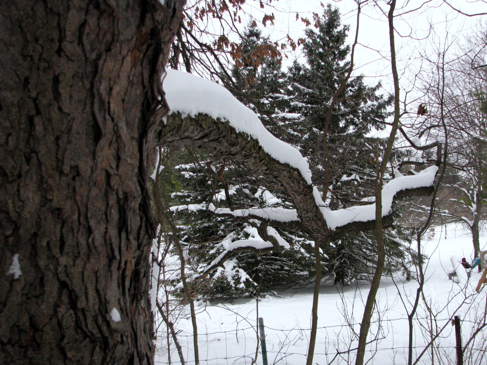 [IMG_2879.JPG]