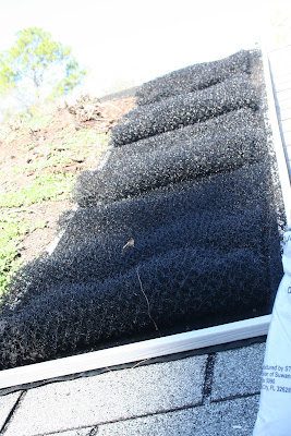 Kevin Songer: Lightweight, Deeper Soil Rooftop Gardens for Permaculture