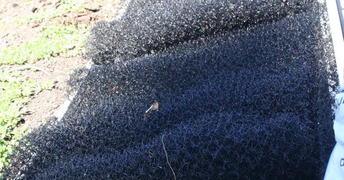 Kevin Songer: Lightweight, Deeper Soil Rooftop Gardens for Permaculture