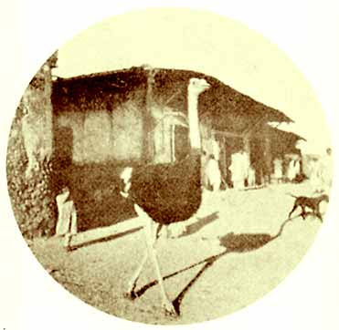 Casa di Rimbaud, Harar 1888