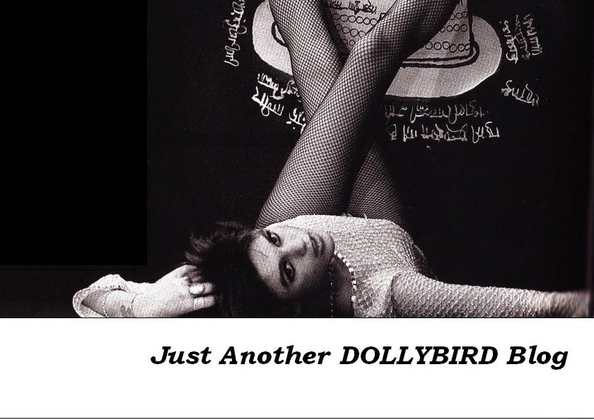 Another Dollybird blog ...