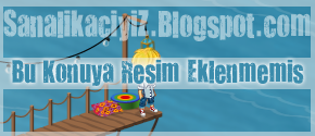 [sanalikaciyiZ_Blog_boslogo.png]