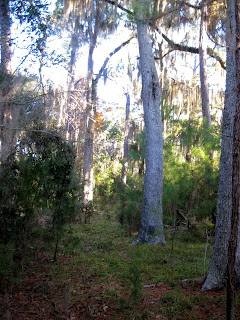 econfina florida river state park december