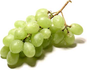 [uvas.jpg]