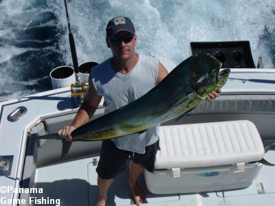 [panamafish036.jpg]