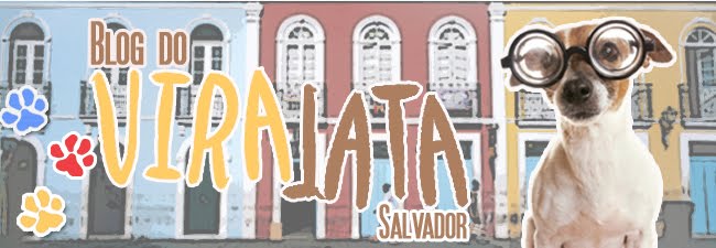 Vira Lata Salvador