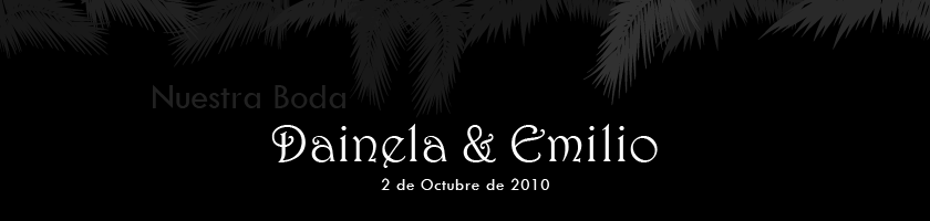 Daniela & Emilio : Nuestra Boda