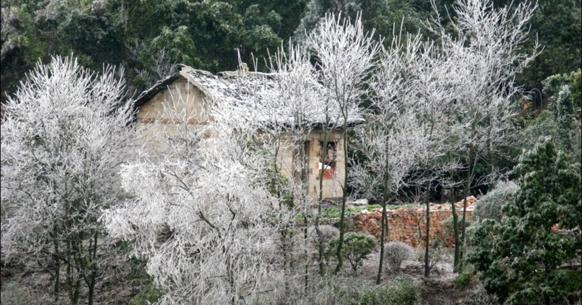 Photography Today Ice Rain in China