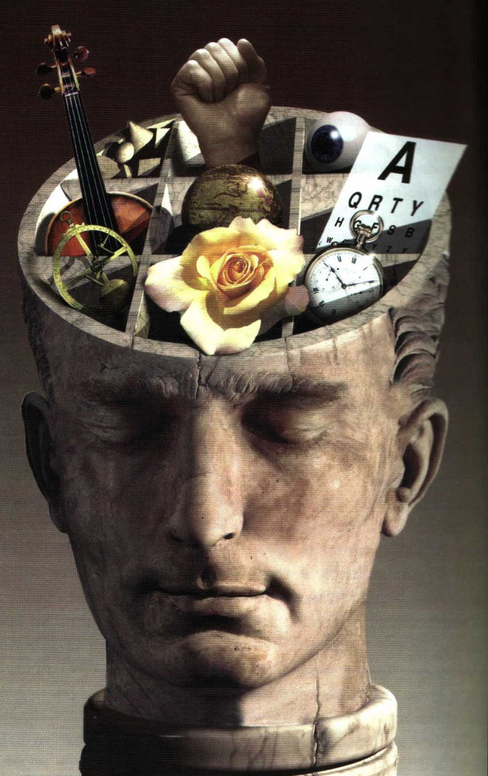 [cerebro1.JPG]