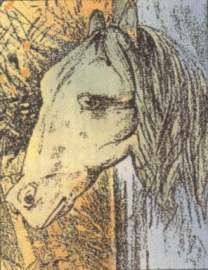 [frog-horse-visual-illusion.gif]