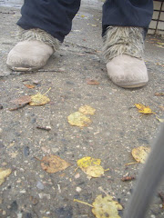 Random Fall shot
