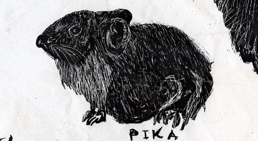 [scratch+pika.jpg]