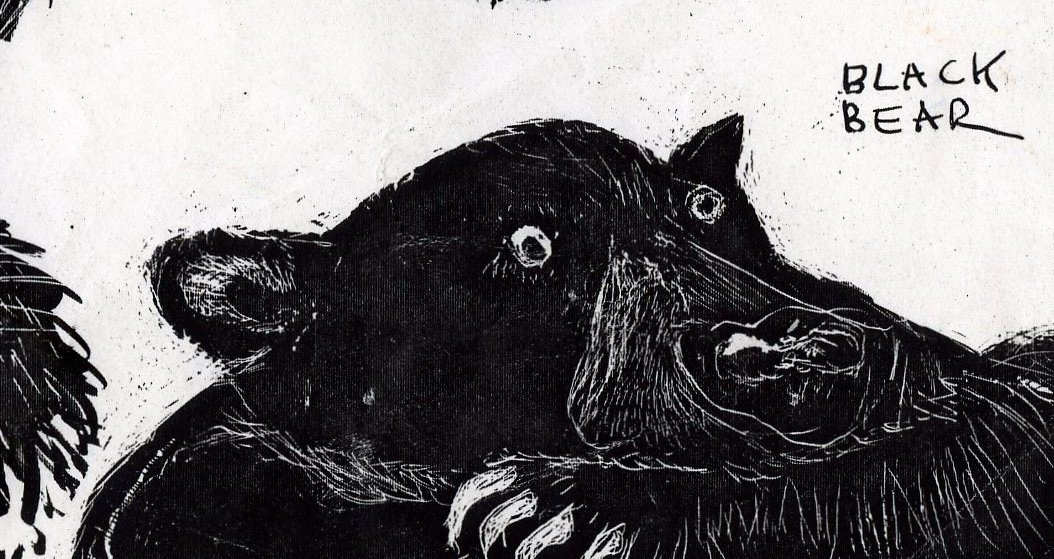 [scratch+bear.jpg]