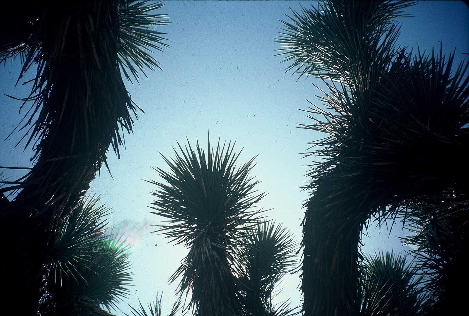 [FH000015.jpg]