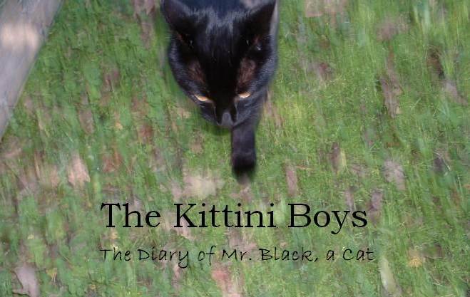 The Kittini Boys