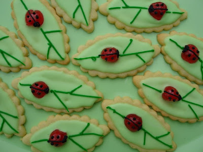 Bug Biscuits