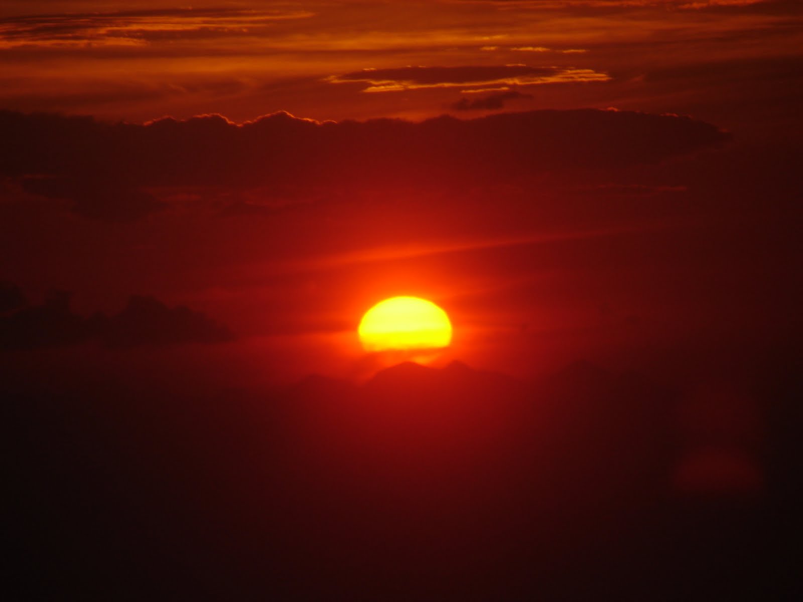 [DSC02504.JPG]