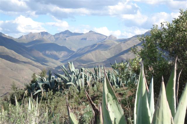 Lesotho Mountains