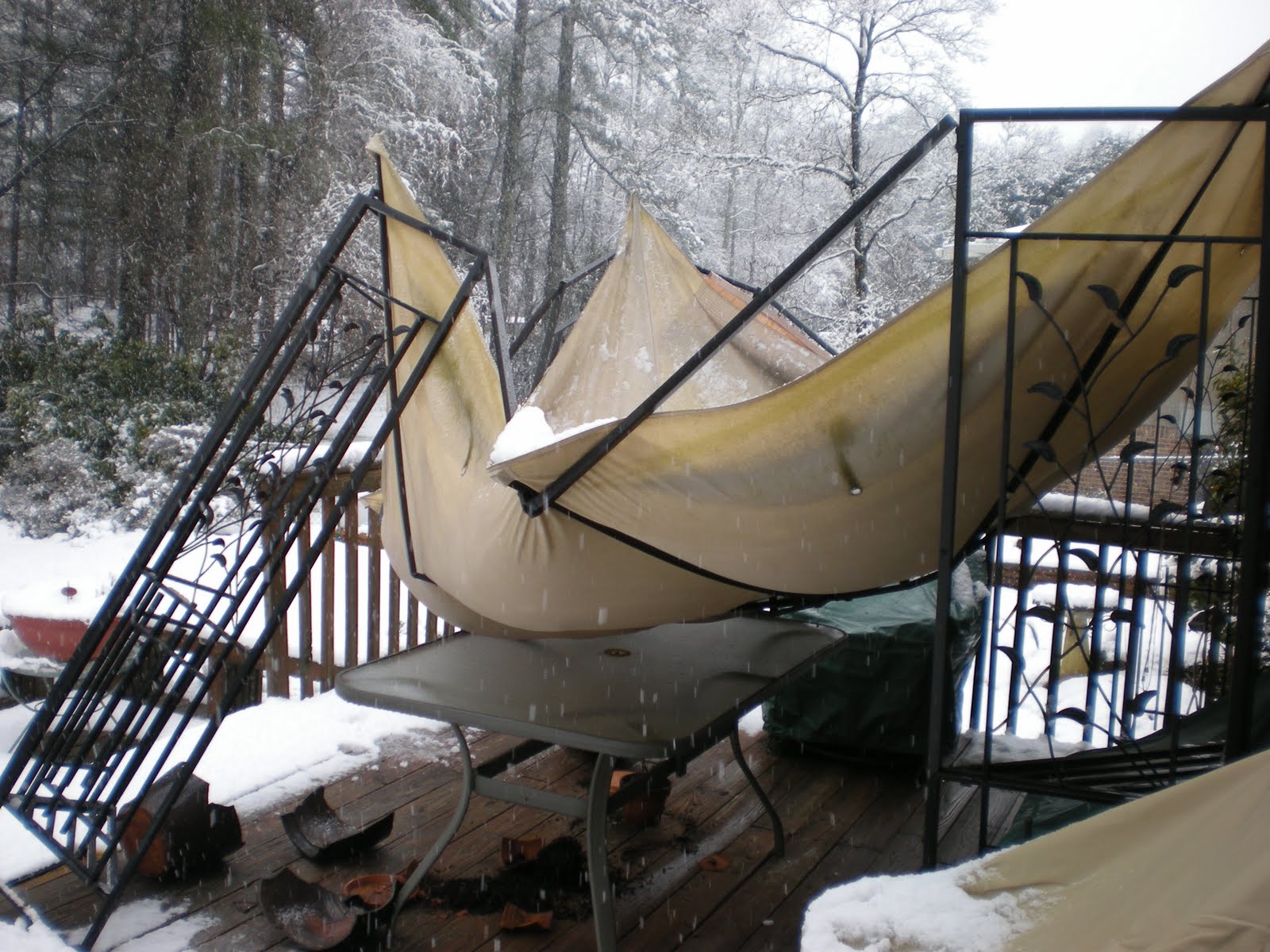 [DSCN0139.JPG]
