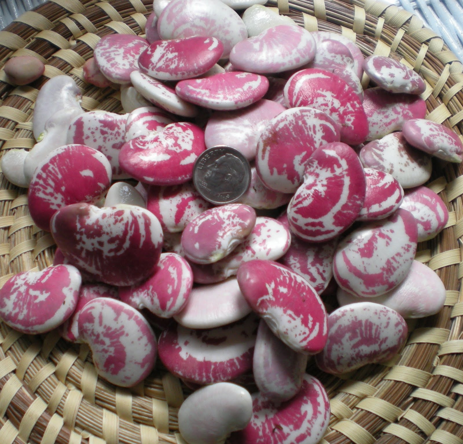 [DSCN0124.JPG]