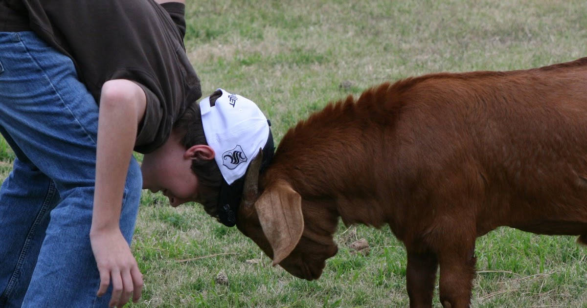 Where East Meets Us Today Was WONDERFUL! (despite the head butting
