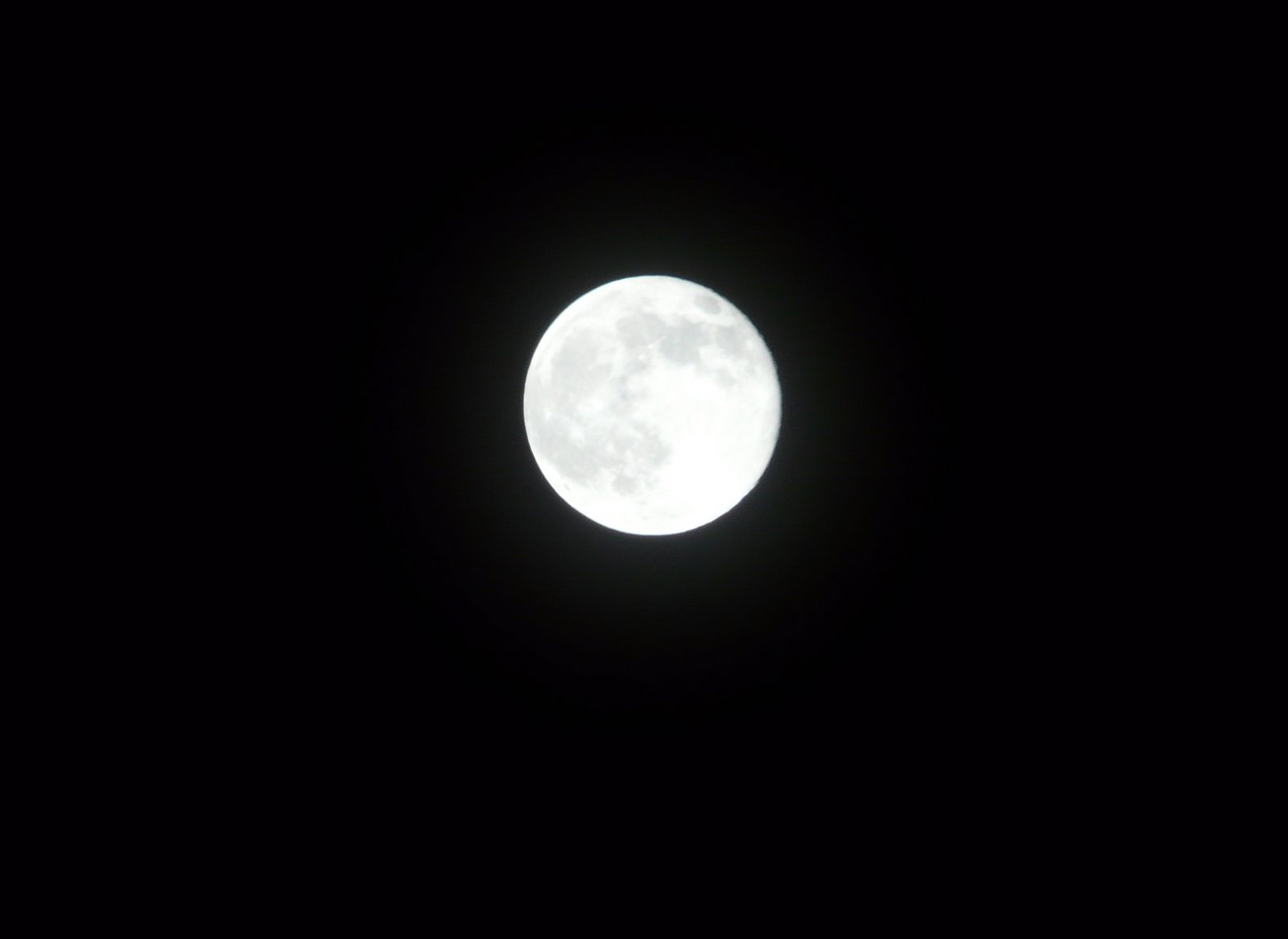 [P1040232.JPG]