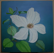 Clematis
