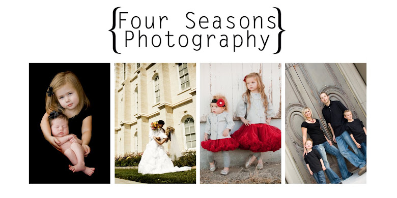 Four Seasons Photography