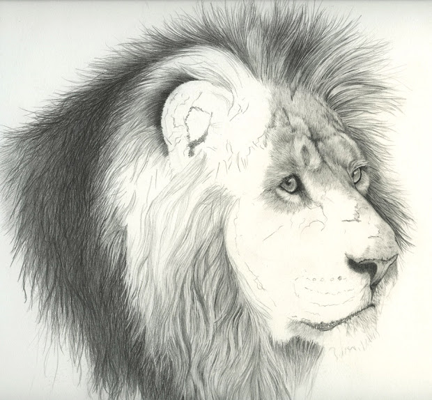 fur in paint drawing animal