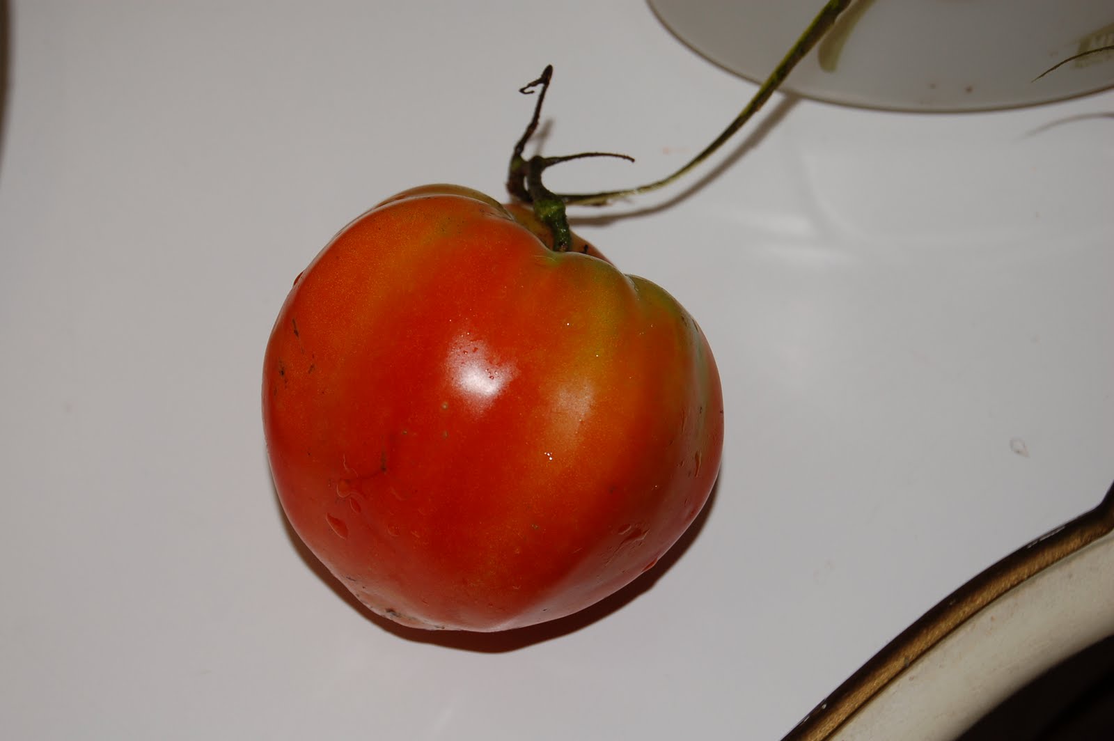 From Seed to Jar Tomatoes for Next Year Saving Seeds