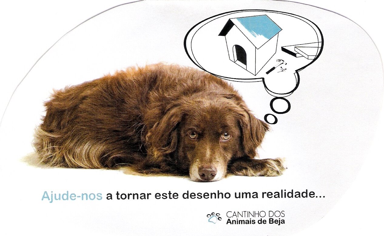 [Apelo1.jpg]