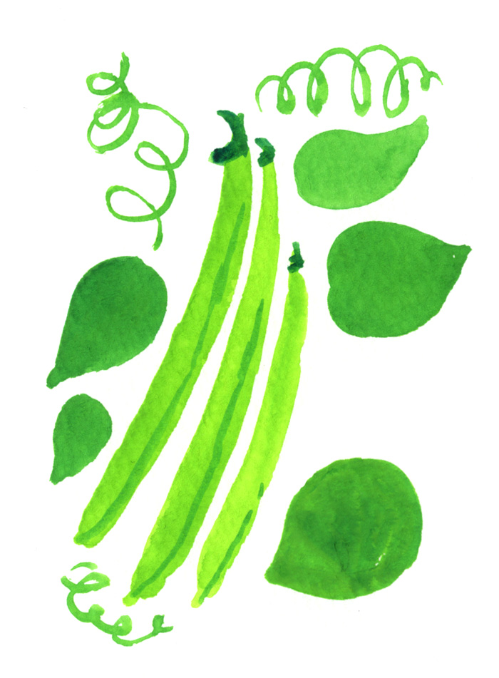[beans.jpg]