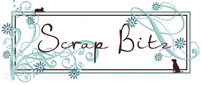 Scrap Bitz