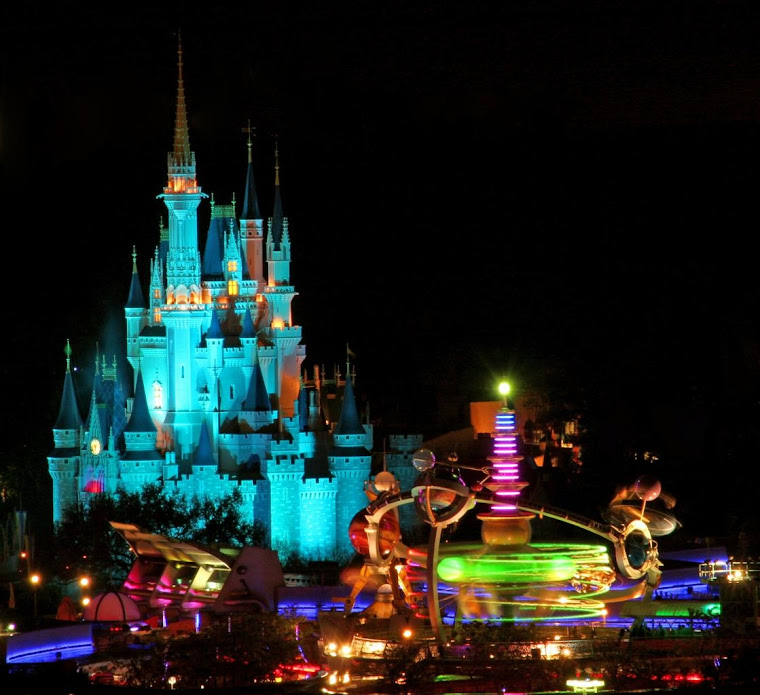 walt disney world castle at night. Unscripted Disney World