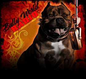 vrc bully blog march 2010